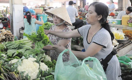 Làng rau xanh vào tết