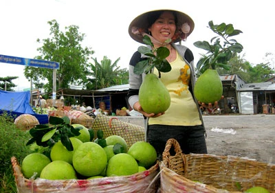 Trái cây đồng loạt tăng giá