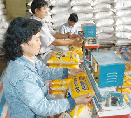 Việt Nam trúng thầu bán 187.000 tấn gạo sang Philippines