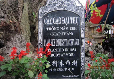 “Thảm họa” chuyển ngữ