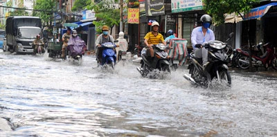 Không chỉ làm đê, xây cống là xong