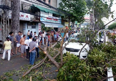 Hiểm họa trên đầu