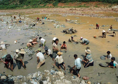 Tìm vàng nơi nguy hiểm