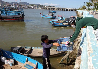 Vất vả vì... bờ kè