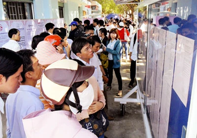 Từ loạt bài “Việc làm thời khó khăn”: Hướng đến việc làm bền vững