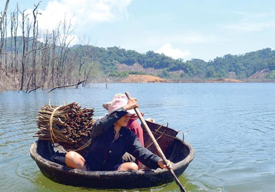 Bụng đói trong nhà to