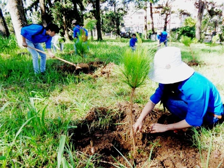 Sáng nay, 2.000 thanh niên hành động vì môi trường