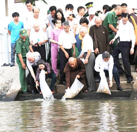 TPHCM: Thả hơn 200.000 con cá xuống kênh