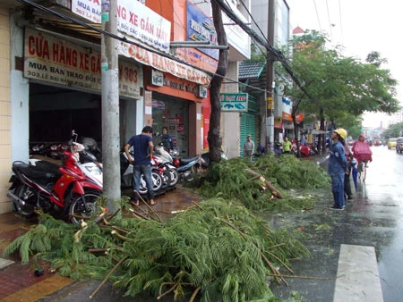 Mưa lớn, cành cây xanh ngã vào dây điện, gây mất điện tại khu vực