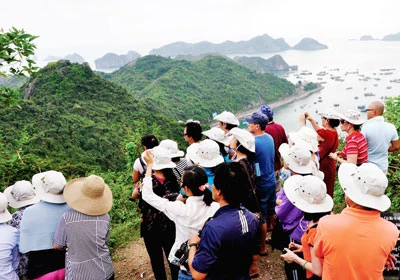 Du lịch Việt Nam: Đi sau, uống nước đục