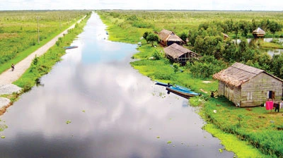 “Cởi trói” rừng tràm U Minh Hạ