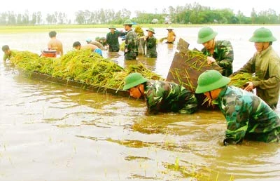 Nhất trí lấy tên gọi Luật Phòng, chống thiên tai