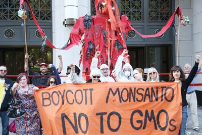 Từ vụ xì căng đan lúa mì biến đổi gien của Monsanto - Kinh doanh bất chấp luật pháp