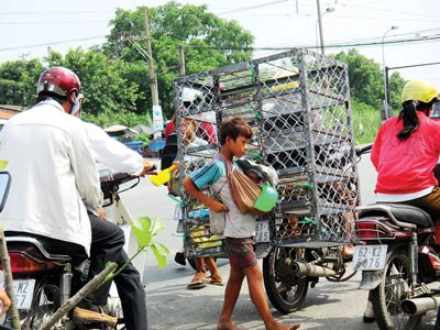 Trẻ ăn xin gây nguy hiểm trên đường