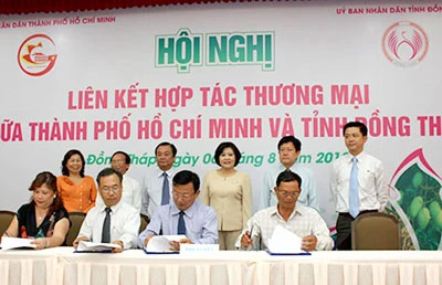 Hợp tác thương mại giữa TPHCM và Đồng Tháp: Quả ngọt đầu mùa