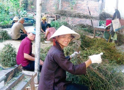 Long An: Nhiều phòng y học cổ truyền khó đủ chuẩn