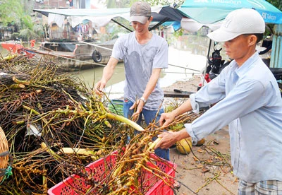 Điểm sáng trong hoạt động bảo vệ môi trường