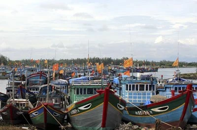 Quảng Ngãi: Xuất khẩu ngư dân