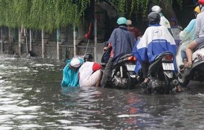 Khổ vì ngập