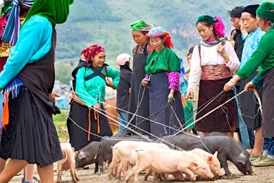 Triển lãm ảnh Chào Tây Bắc