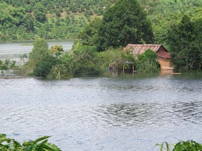 Hàng trăm ha cà phê và nhiều nhà cửa ở huyện Lâm Hà (Lâm Đồng) bị thủy điện nhấn chìm