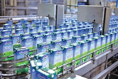 Trong 5 năm, xuất khẩu sữa Vinamilk tăng trưởng bình quân 62%