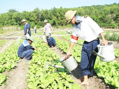 Một ngày trên biển đảo Tây Nam