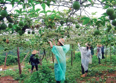 Đắk Nông nỗ lực thu hút đầu tư