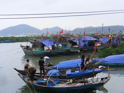 Nghệ An khẩn trương phòng chống bão số 14