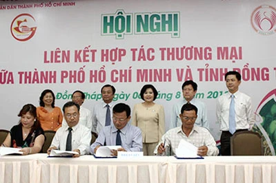 TPHCM và 20 tỉnh, thành Đông và Tây Nam bộ: Triển khai nhiều dự án hợp tác đầu tư