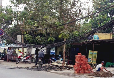 Bó dây cáp thông tin sà xuống đường