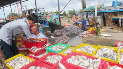 Trà Vinh: Trợ lực ngư dân bám biển làm giàu