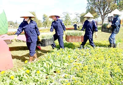 Đà Lạt: Khai trương các không gian hoa