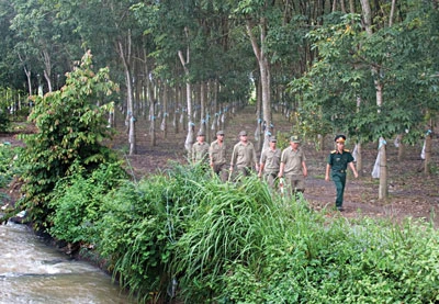 Sức sống vùng biên cương