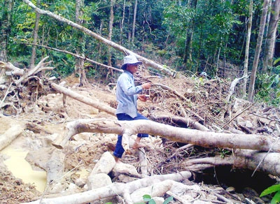 Đắk Lắk: Thu hồi dự án khai thác đá quý