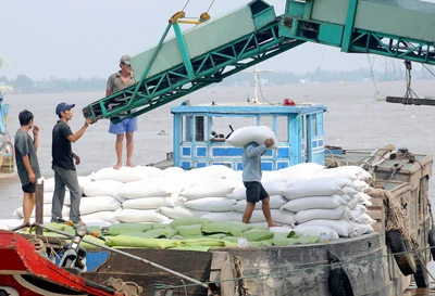 Xuất khẩu gạo năm 2014 - Cạnh tranh quyết liệt