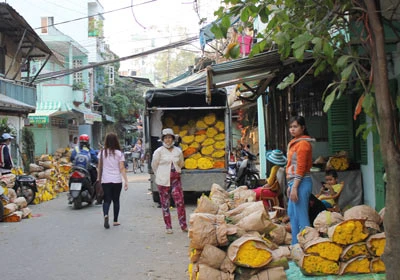 Sôi động thị trường ngày đưa ông Táo về trời