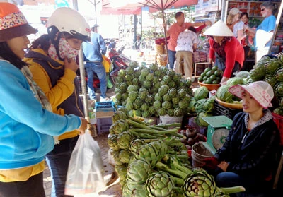 Giá bông atisô giảm mạnh