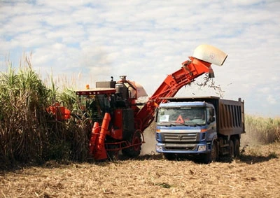 Doanh nghiệp địa ốc - Đầu tư đa ngành