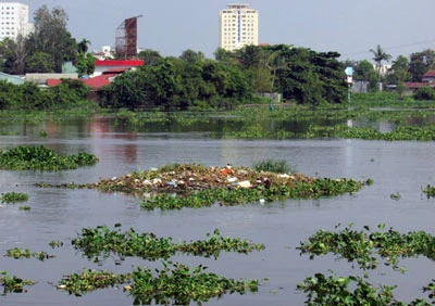 Bè rác trên sông Sài Gòn