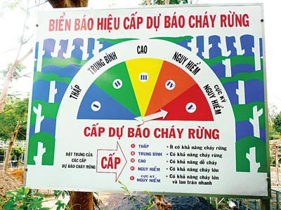 Đồng bằng sông Cửu Long phập phồng lo cháy rừng