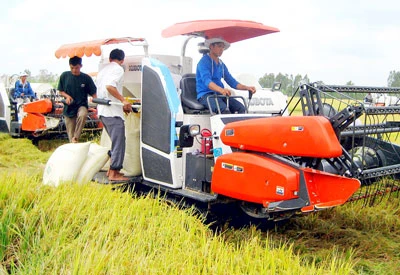 Tổ chức sản xuất chuyên sâu