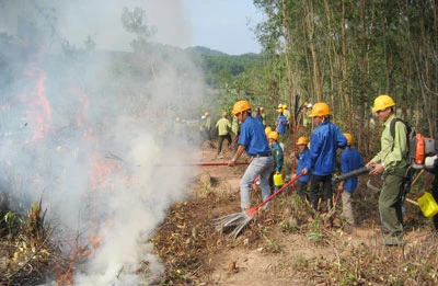 Quảng Nam: Phát động phòng chống cháy rừng