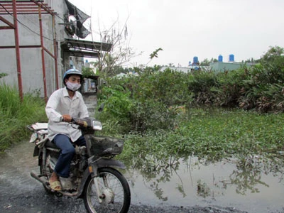 Quy hoạch treo - Vườn ruộng thành đất hoang