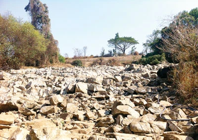 Tây Nguyên: Khô hạn, thiếu nước sản xuất