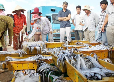 Thương lái Trung Quốc thao túng thị trường hải sản