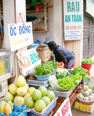 Rau bẩn vào siêu thị