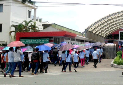 TPHCM: Các doanh nghiệp hoạt động trở lại bình thường