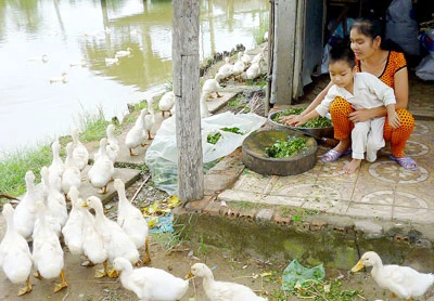 Nỗ lực trở lại cuộc sống đời thường