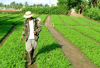 Tiến tới loại bỏ chất ô nhiễm hữu cơ khó phân hủy